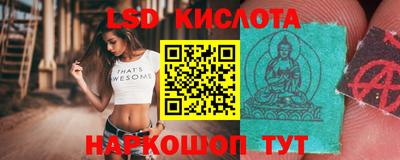 дмт Краснодар