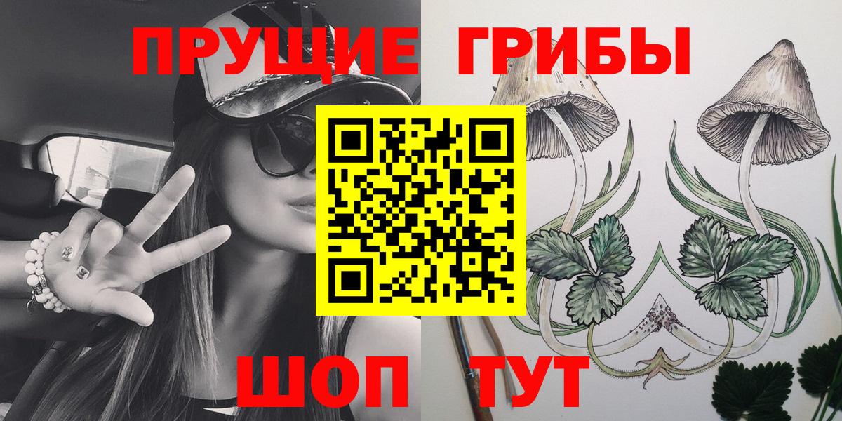 Галлюциногенные грибы Psilocybine cubensis Йошкар-Ола