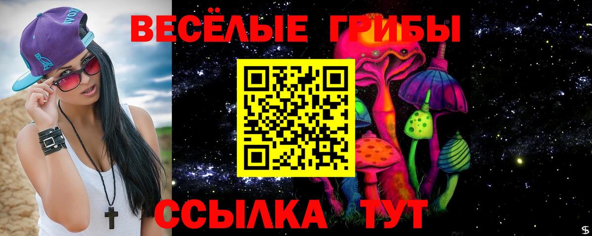 Псилоцибиновые грибы Psilocybe  Вход с VPN  Йошкар-Ола 